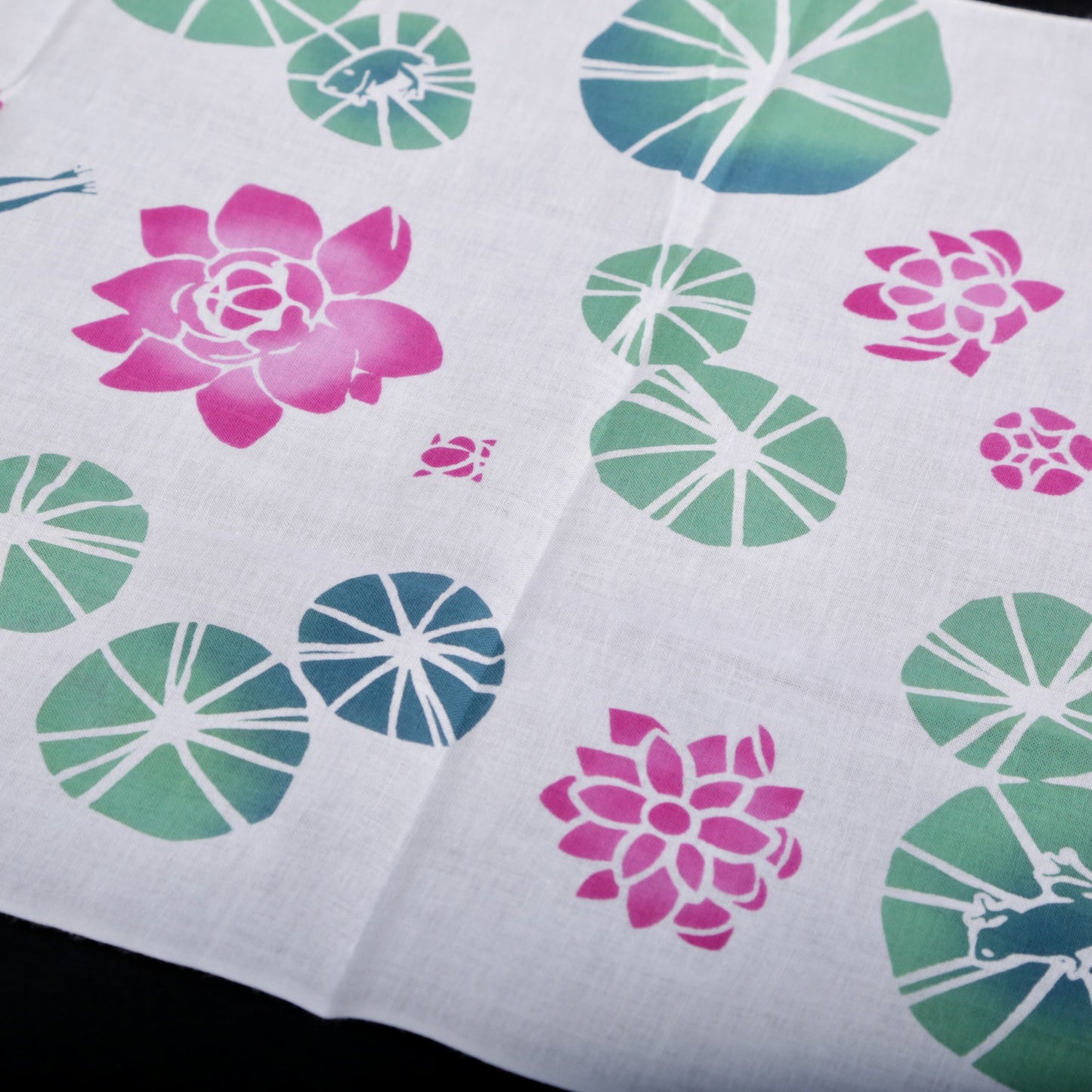 睡蓮の池(カエルのあそび場)