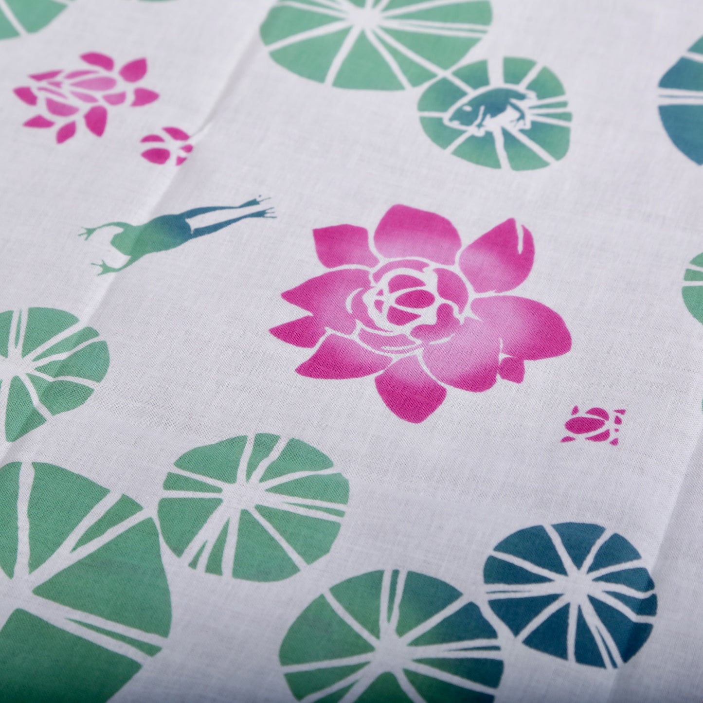 睡蓮の池(カエルのあそび場)