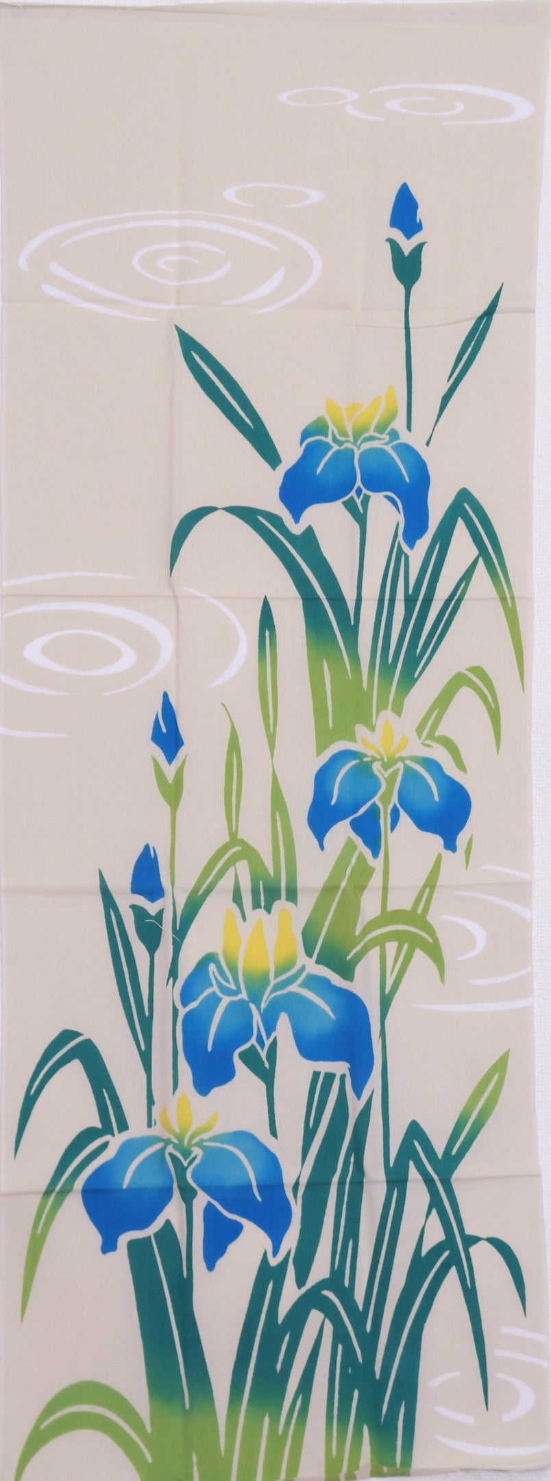 【  春  】花菖蒲（数量限定）