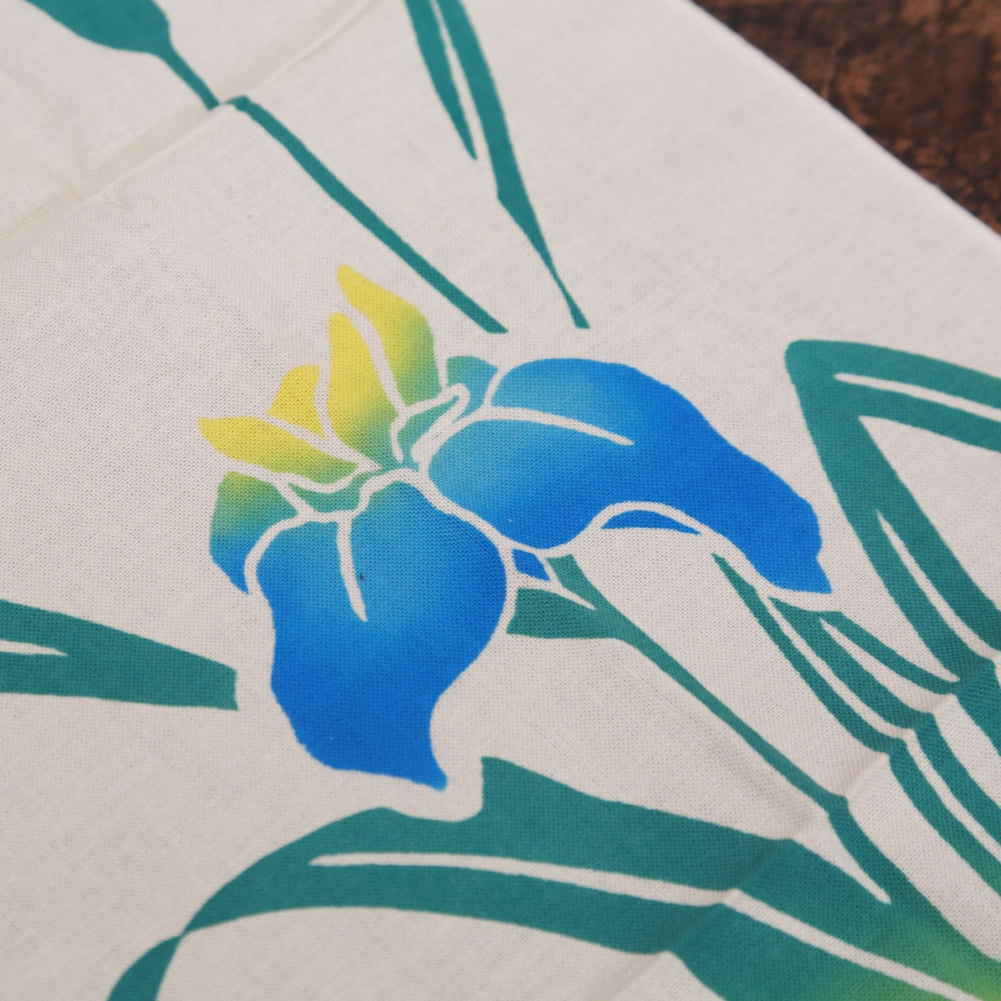【  春  】花菖蒲（数量限定）