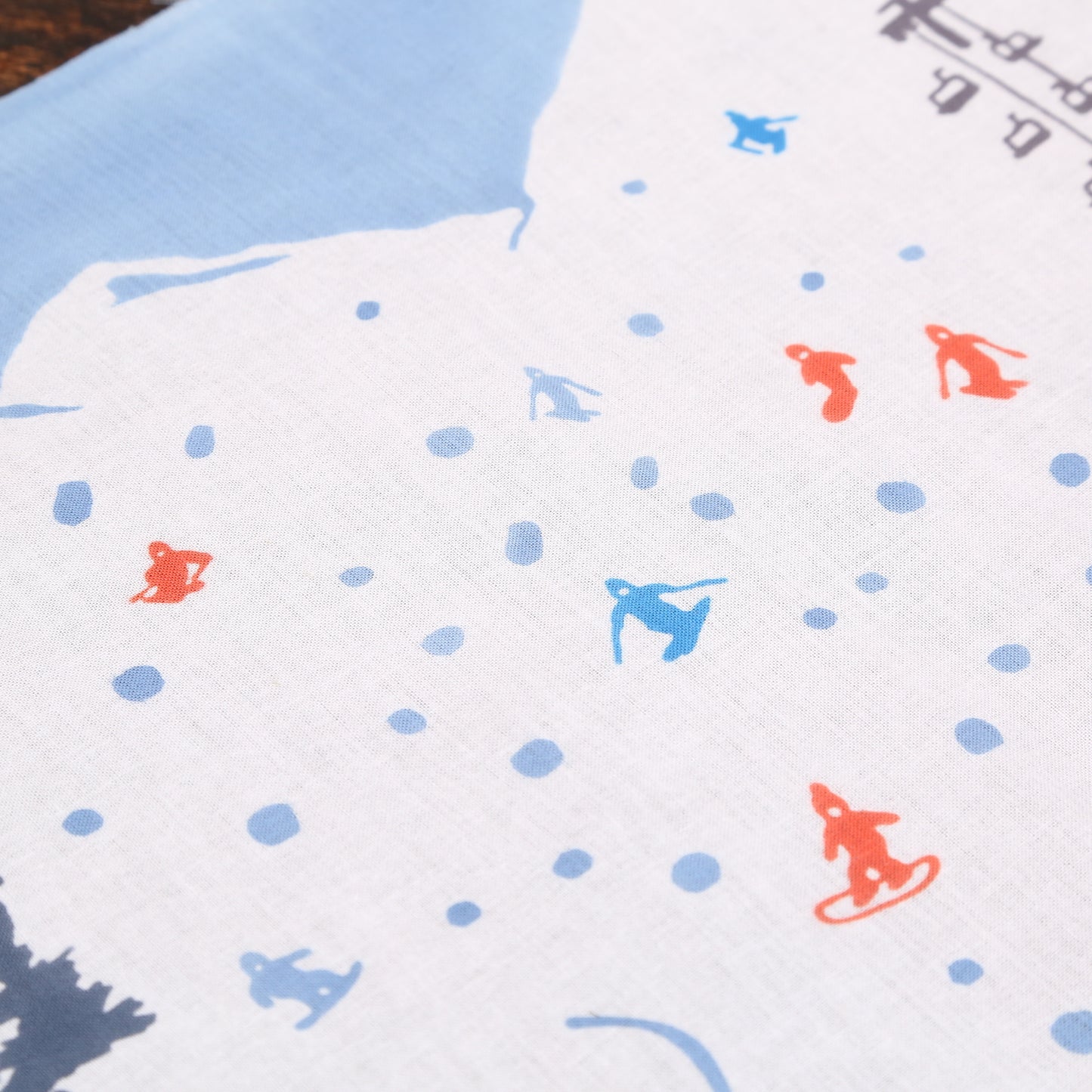 スキー＆スノボ