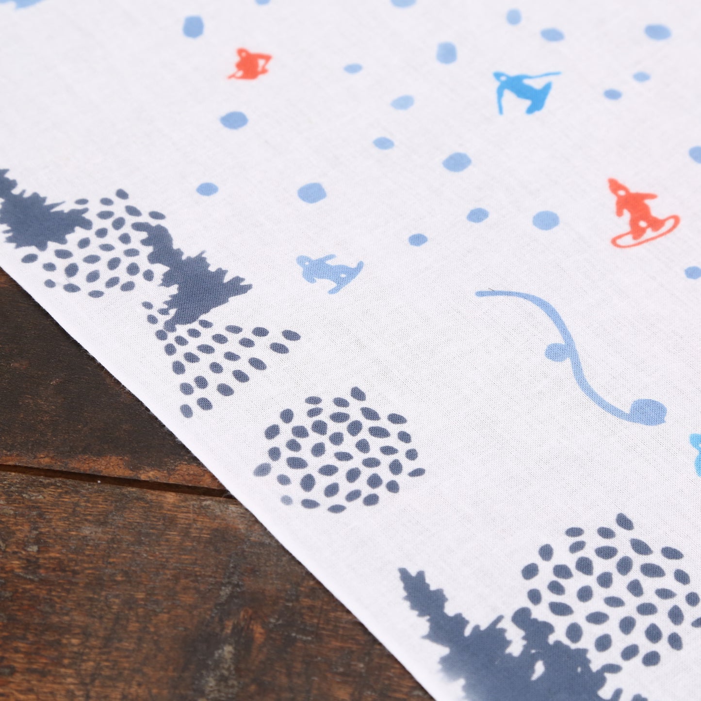 スキー＆スノボ