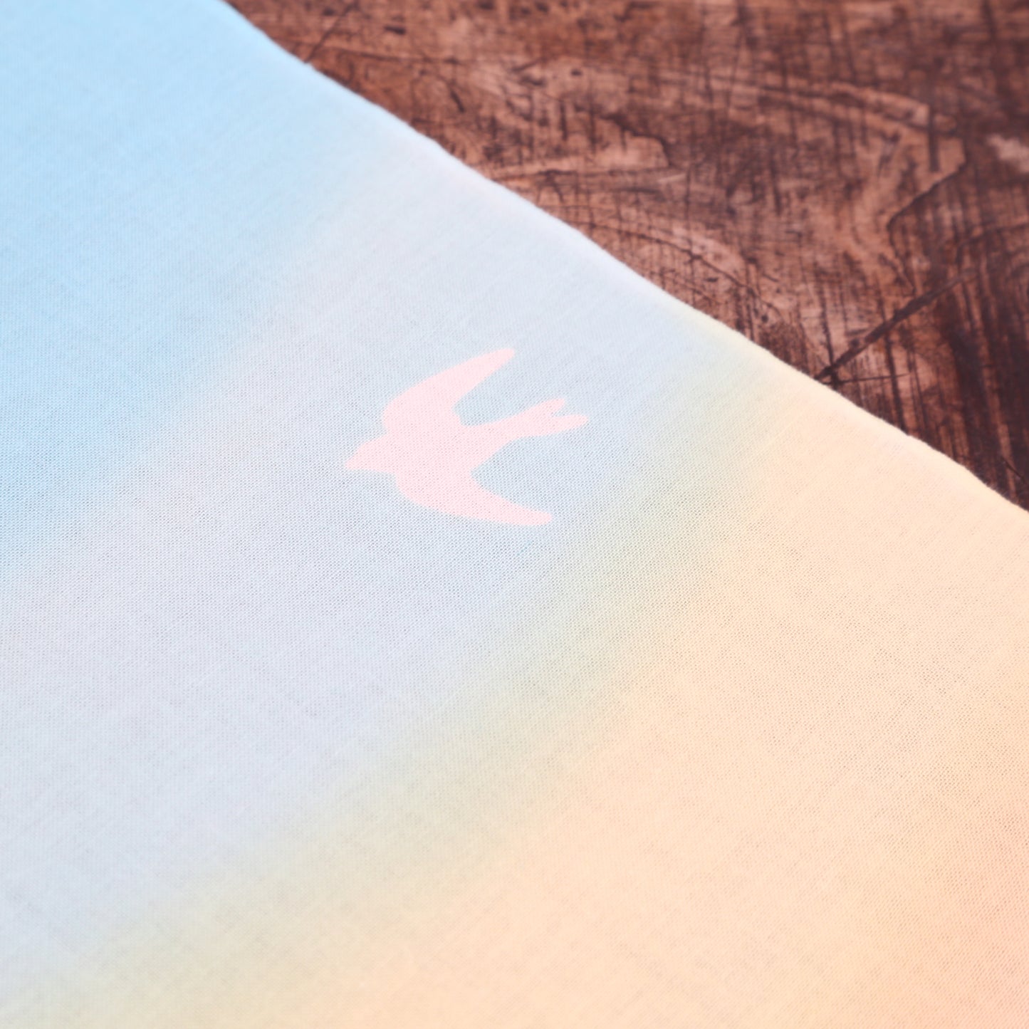 [Été] Hirondelle et hortensia