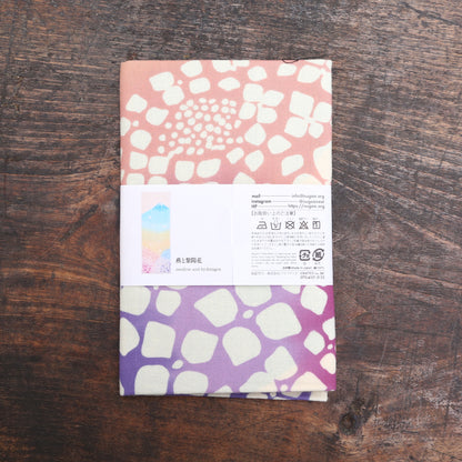 [Été] Hirondelle et hortensia