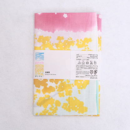 [Spring] Spring in full bloom