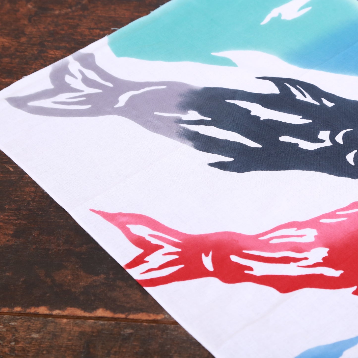 [Spring] Carp streamer